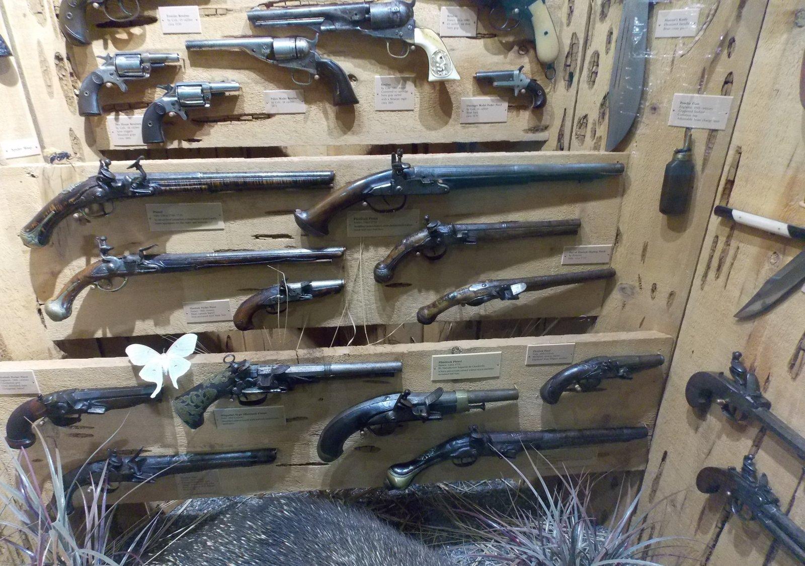 Guns 004.JPG