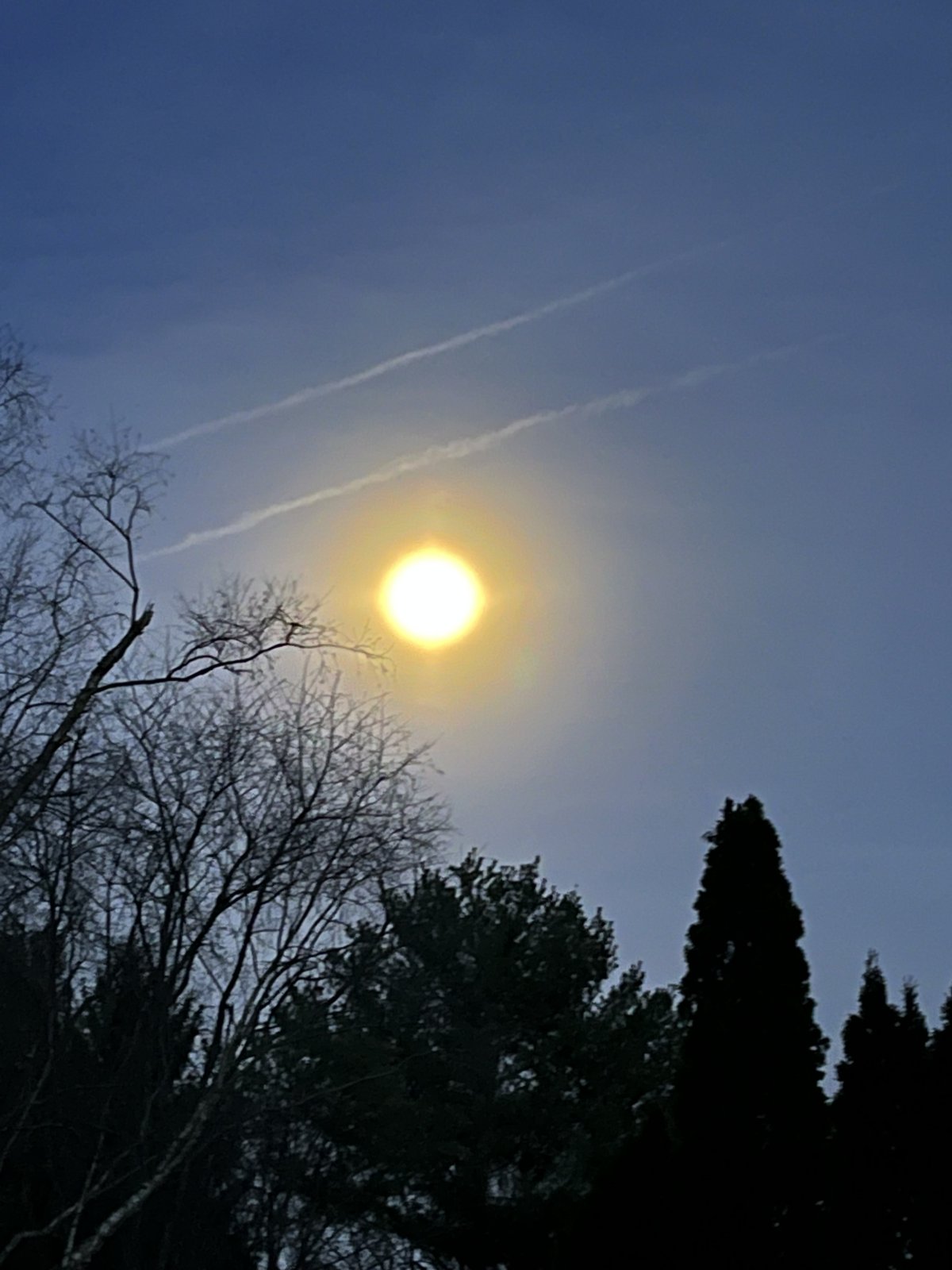IMG_6171.jpeg