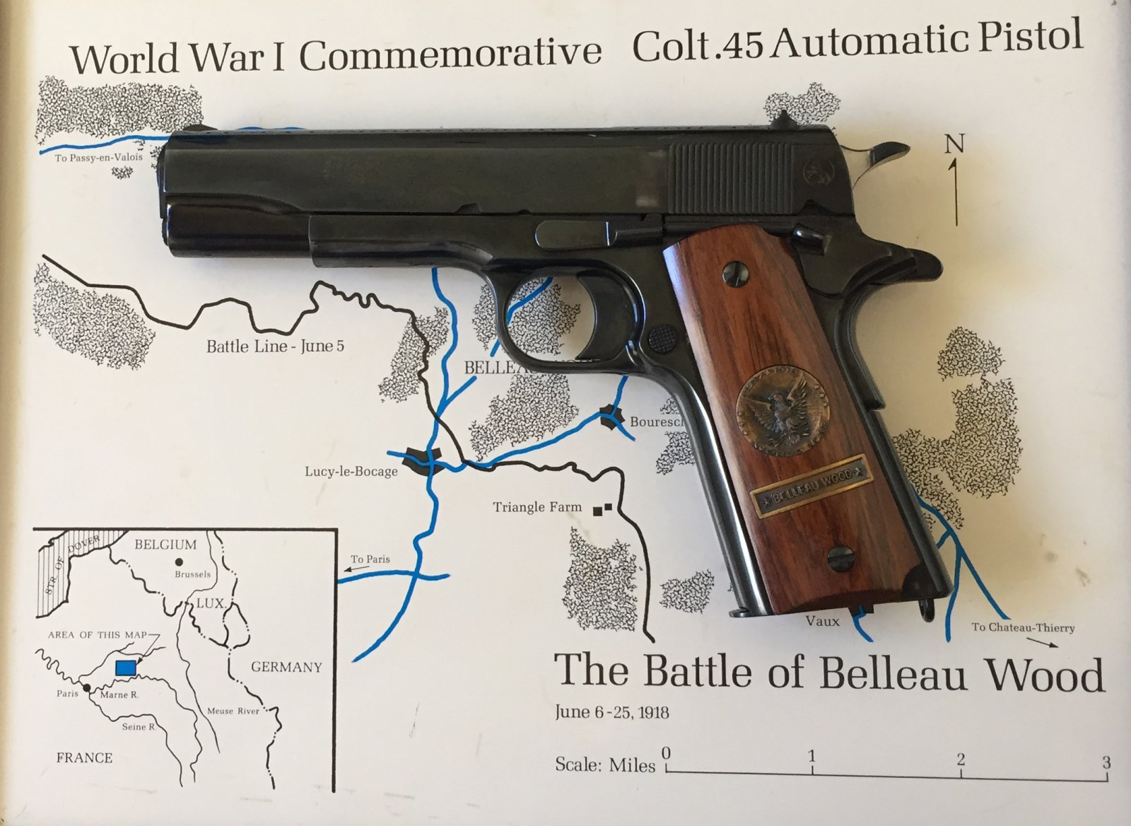 BELLEAU WOOD COLT-2-1.jpg