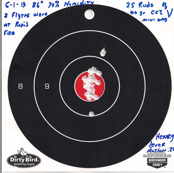 Henry Lever Action .22 001.jpg