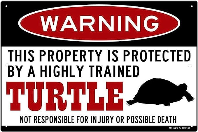 Attack Turtle.jpg