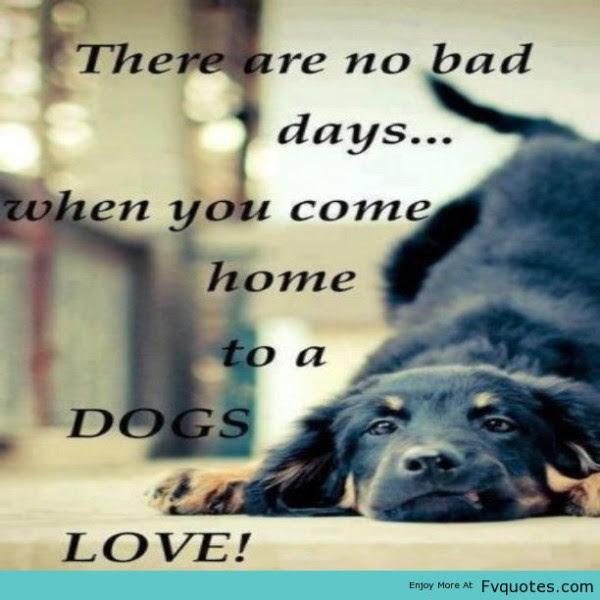 There-Arte-Not-Bed-600x600.jpg