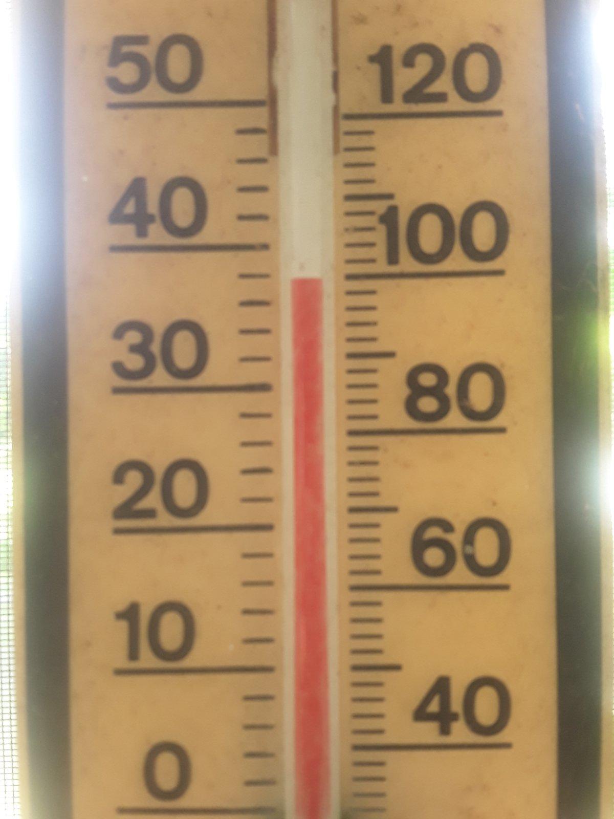 TEMP.jpg