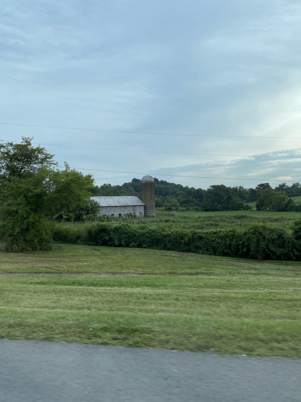 IMG_3542 copy.jpg