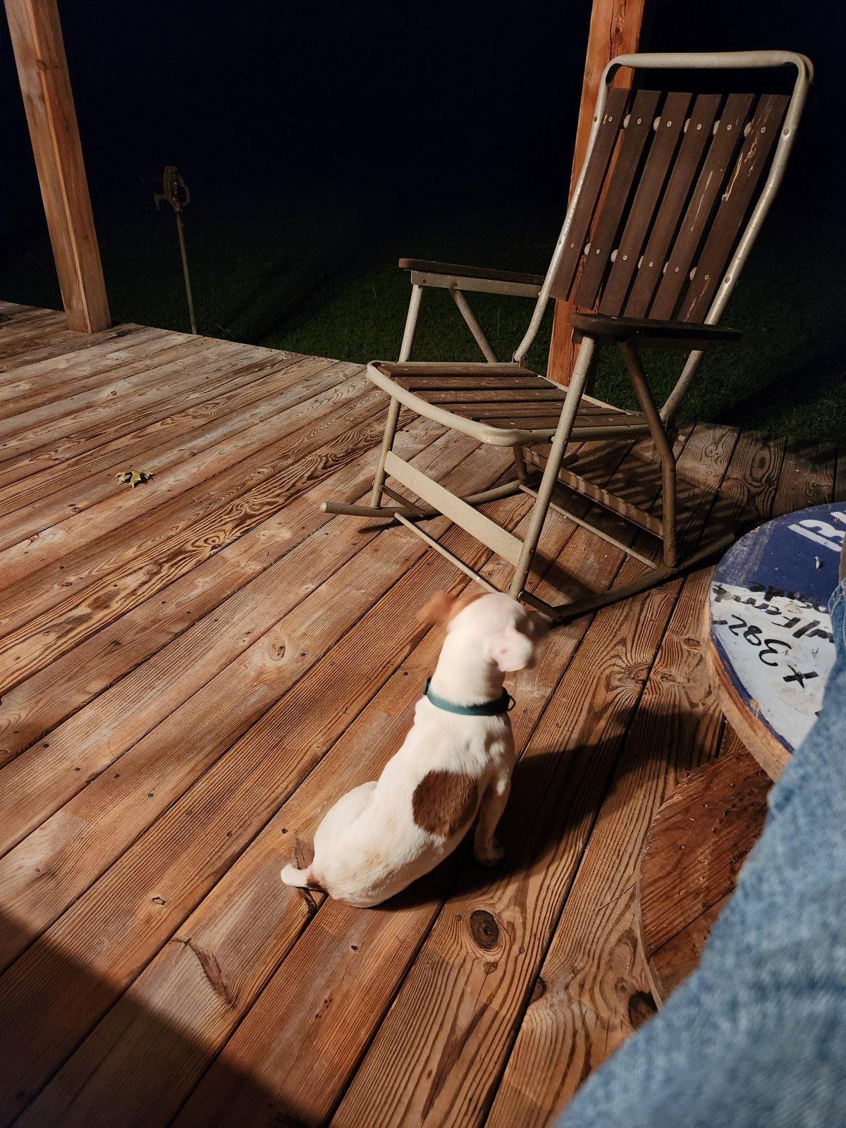 20230902_203938.jpg