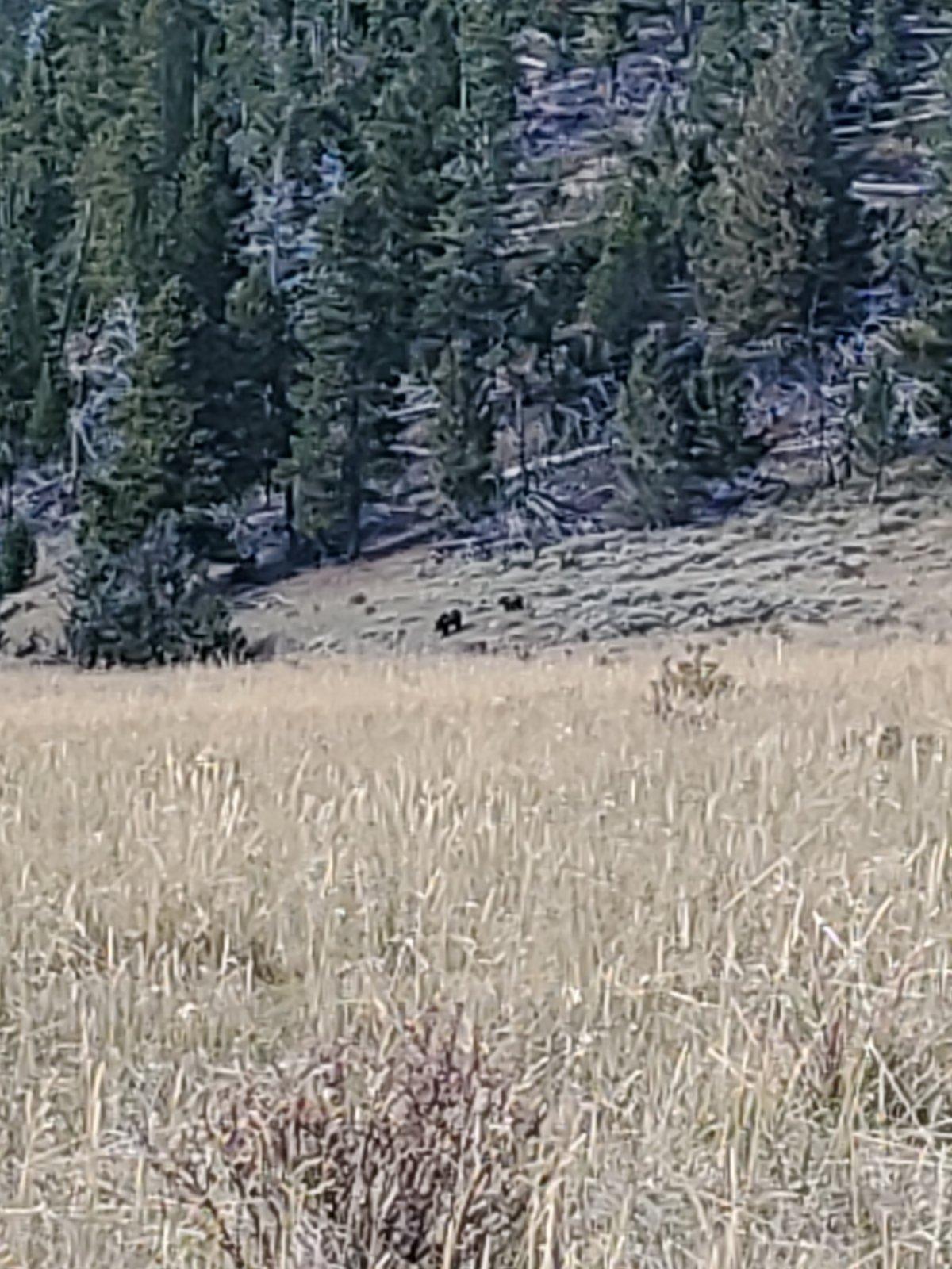 20230924_134741.jpg