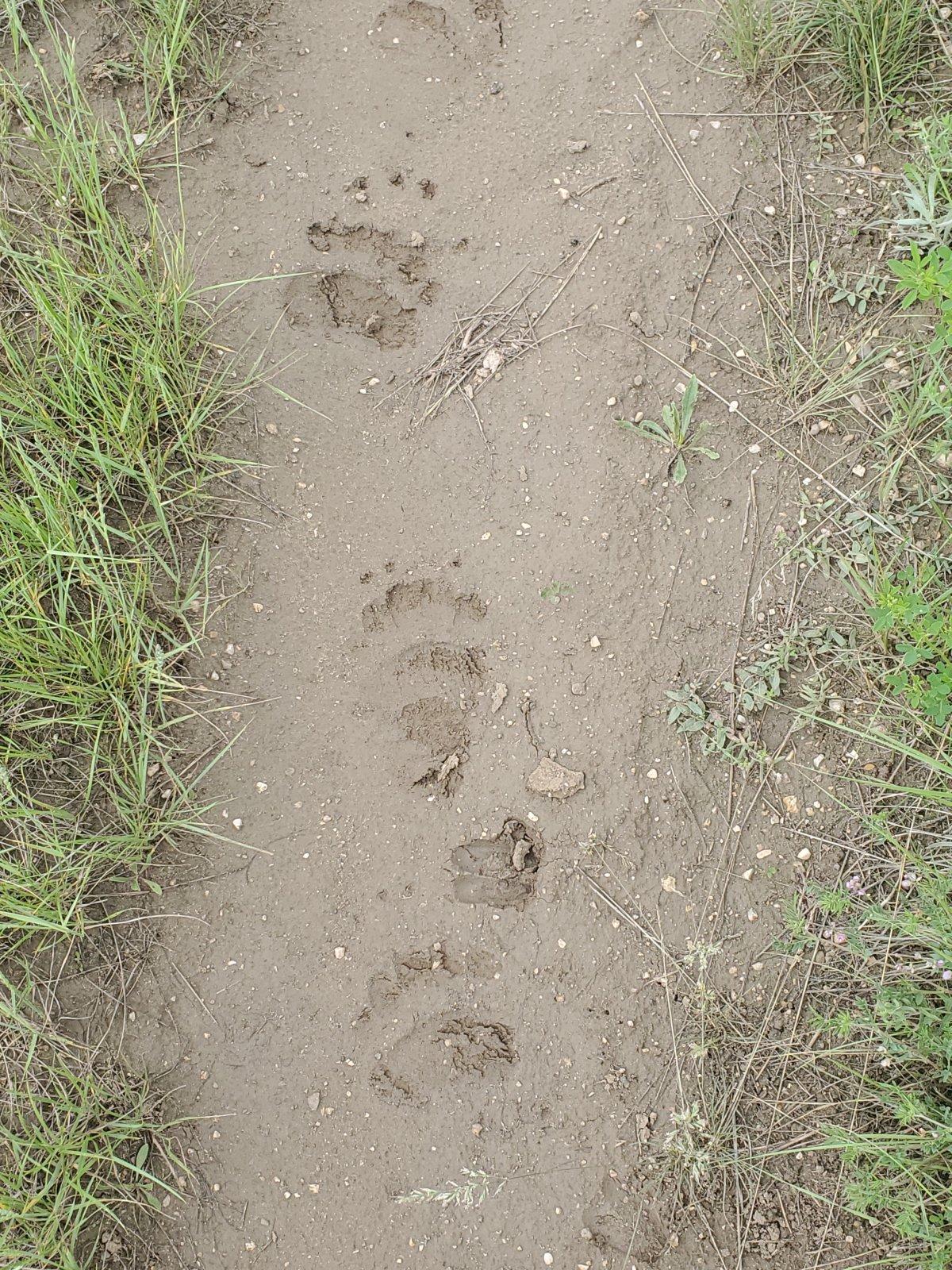 20230612_114559.jpg