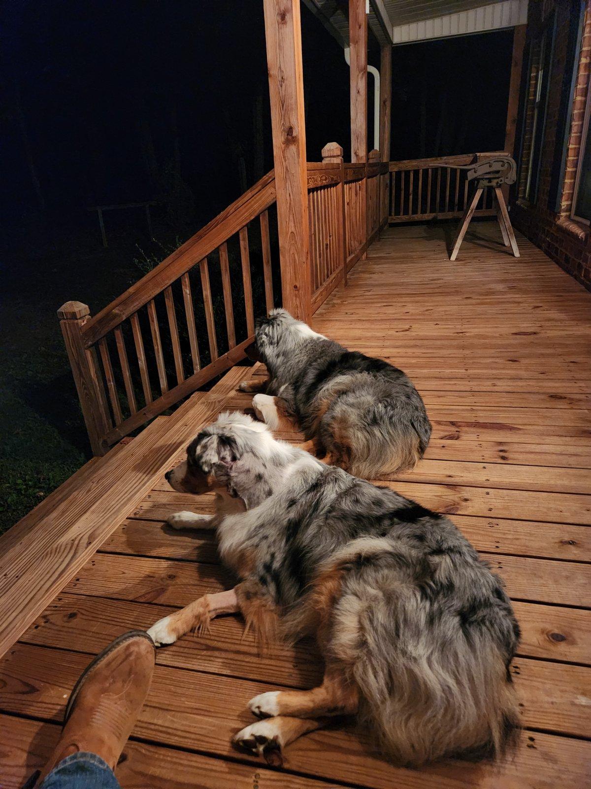 20231019_215125.jpg