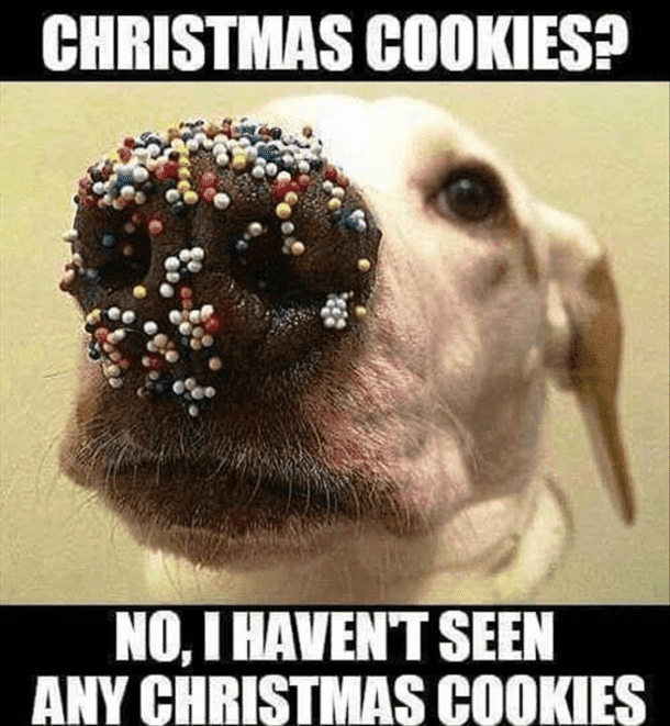 1700712576144.png