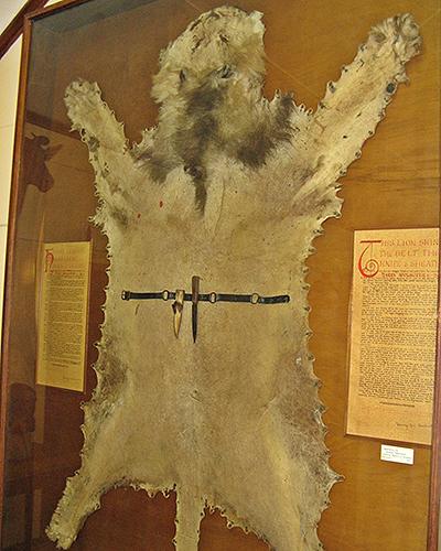 Harry-Wolhuter-lion-skin-and-knife.jpg