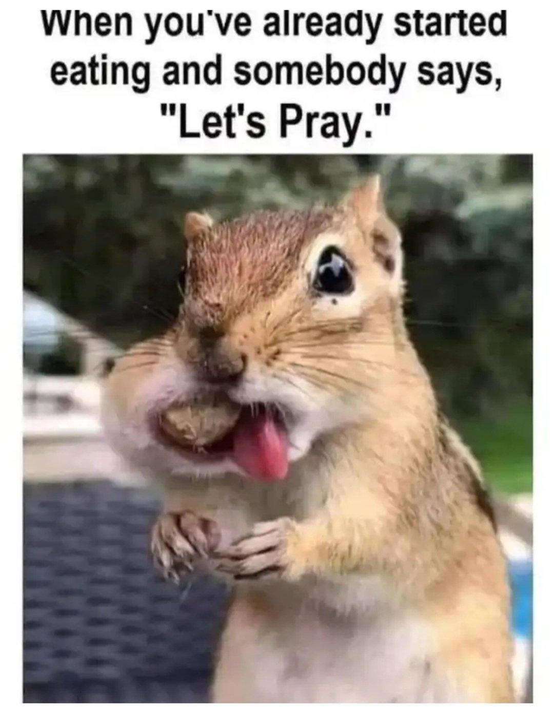 1701385993746.jpeg