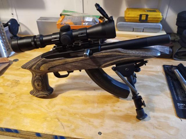 Ruger Challenger 1 resized.jpg