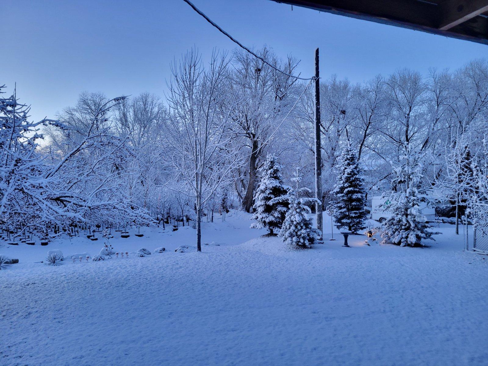 20240107_081240.jpg