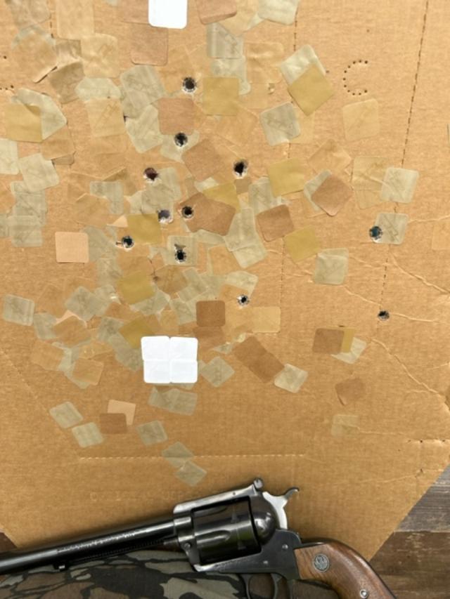 Maxi target 1.jpg