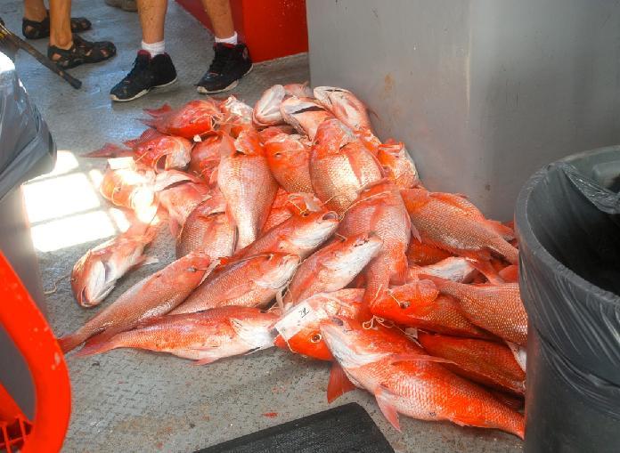 fishing 5.JPG