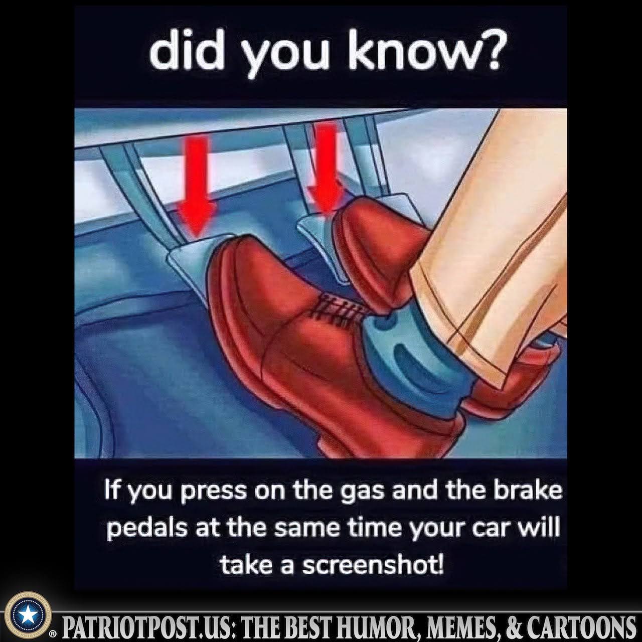 16990397395184203163624827935026.jpg
