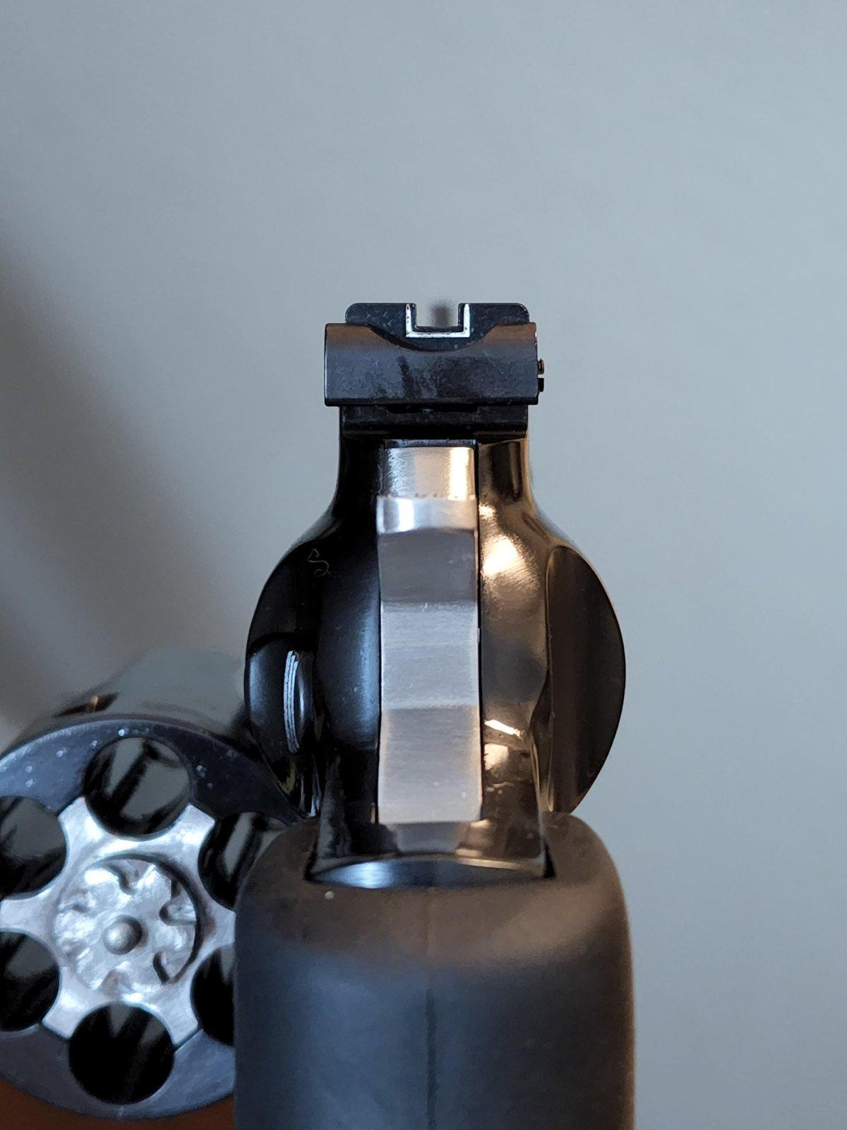 gp100 sight picture.jpg