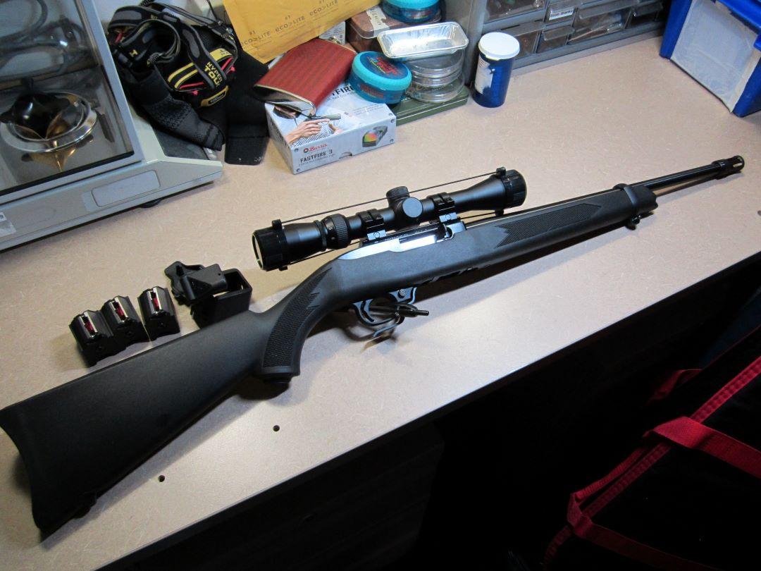 Ruger_10-22R1.jpg
