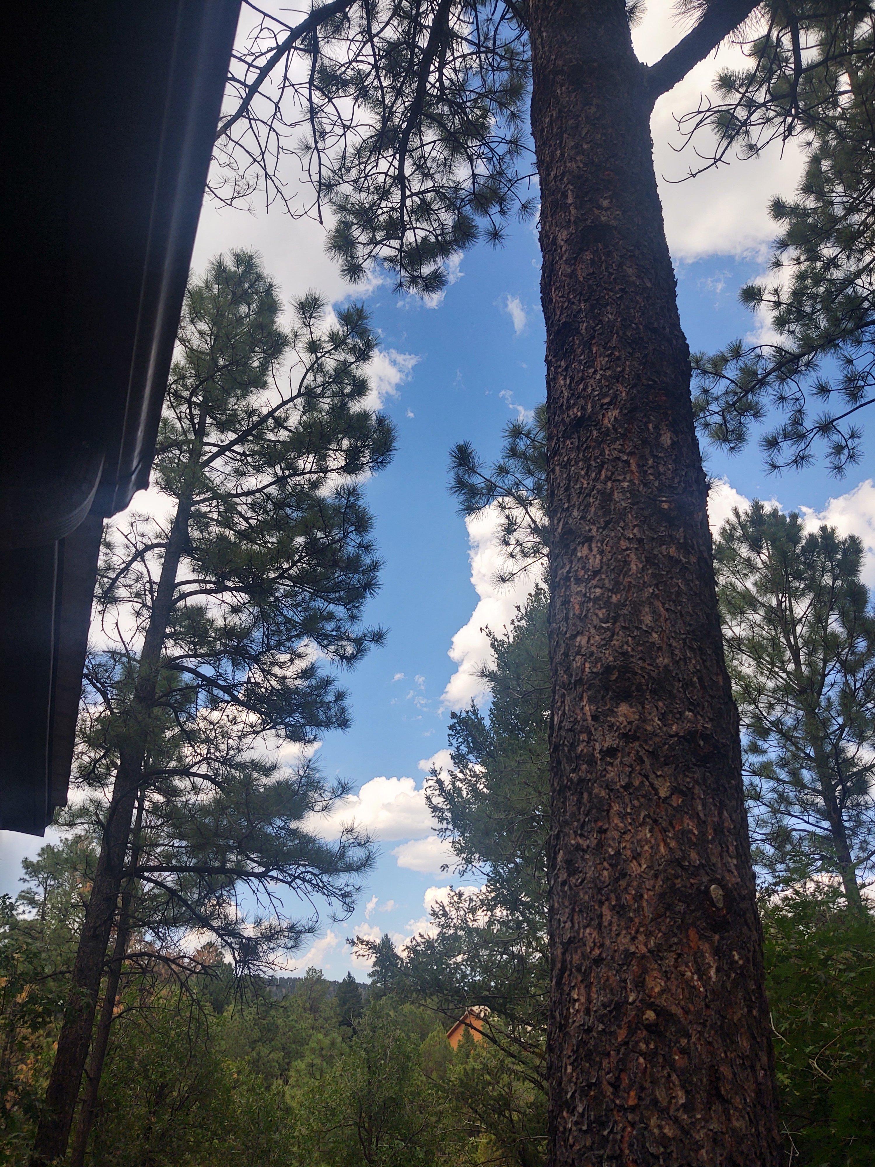 IMG_20220711_152149865_HDR.jpg