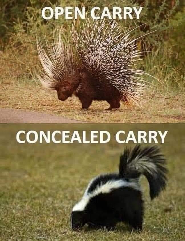 Open Vs Concealed Carry.jpg