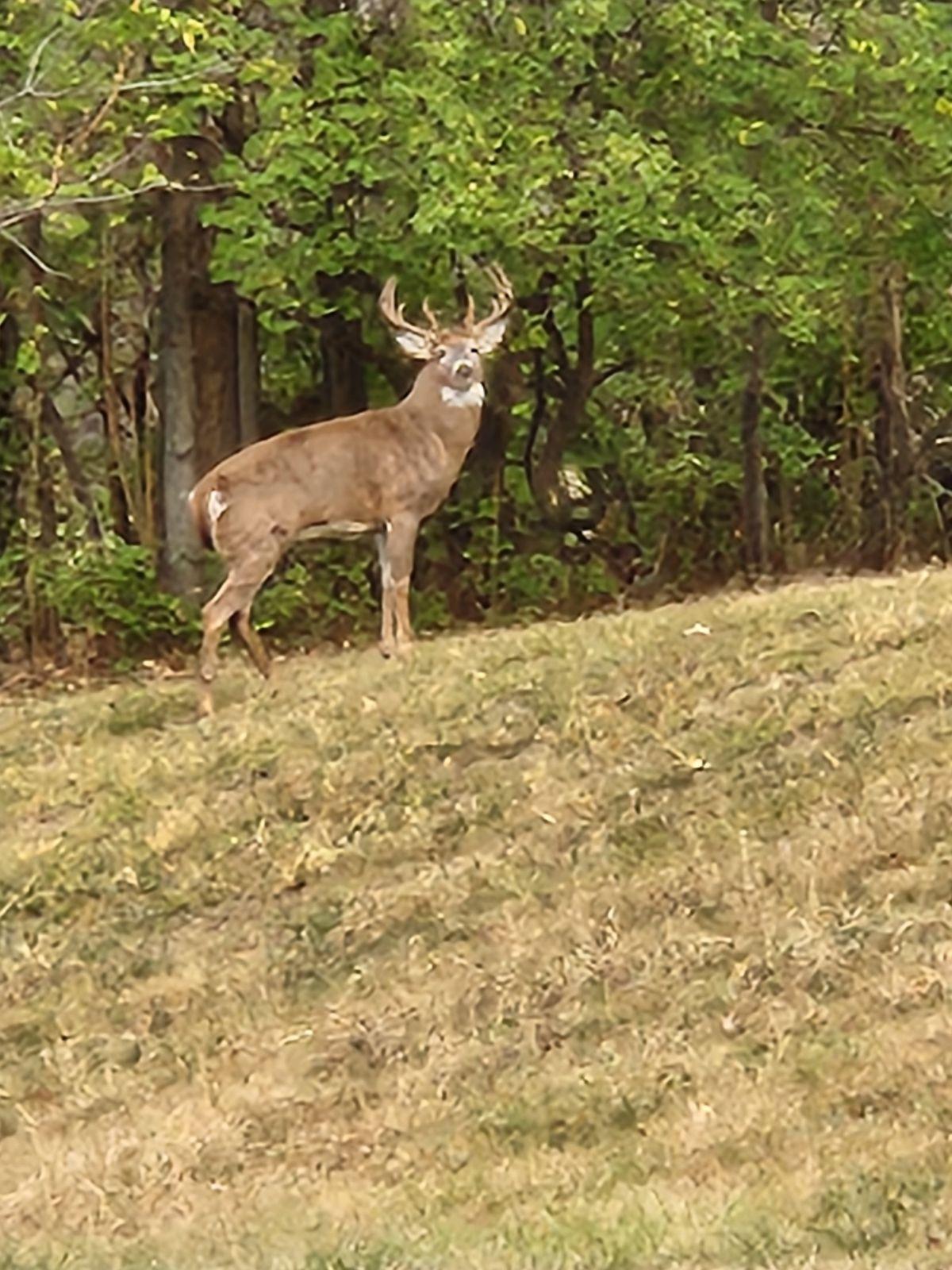 IMG_20241102_121630.jpg