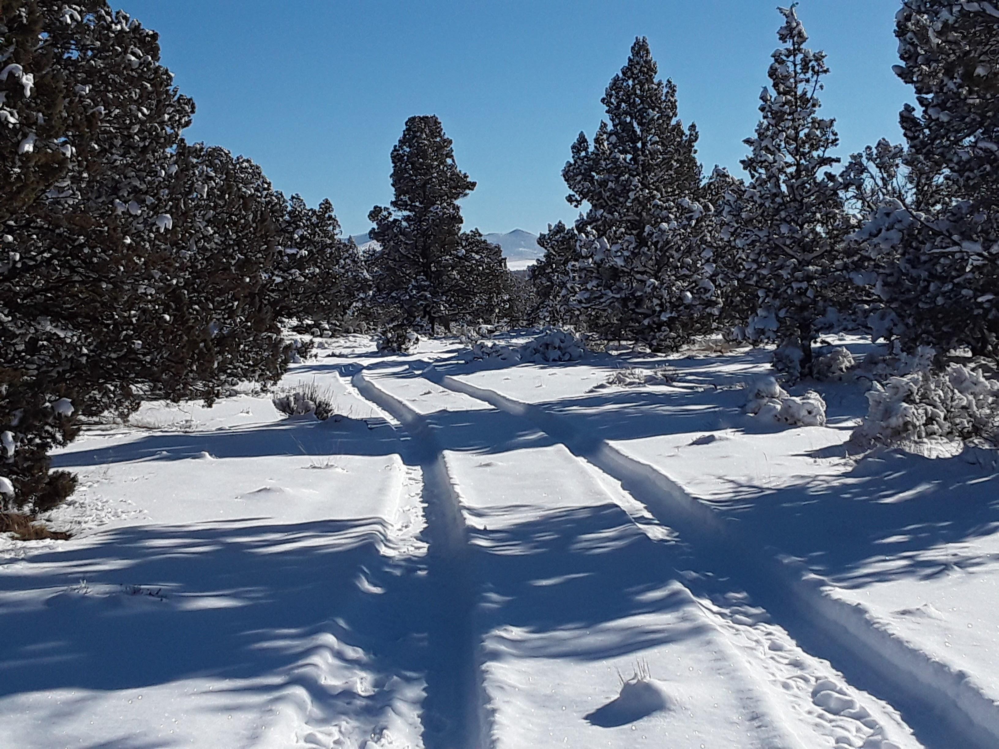 IMG_20210123_132841.jpg