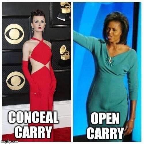 michelle-obama-dylan-mulvaney-concealed-open.jpeg