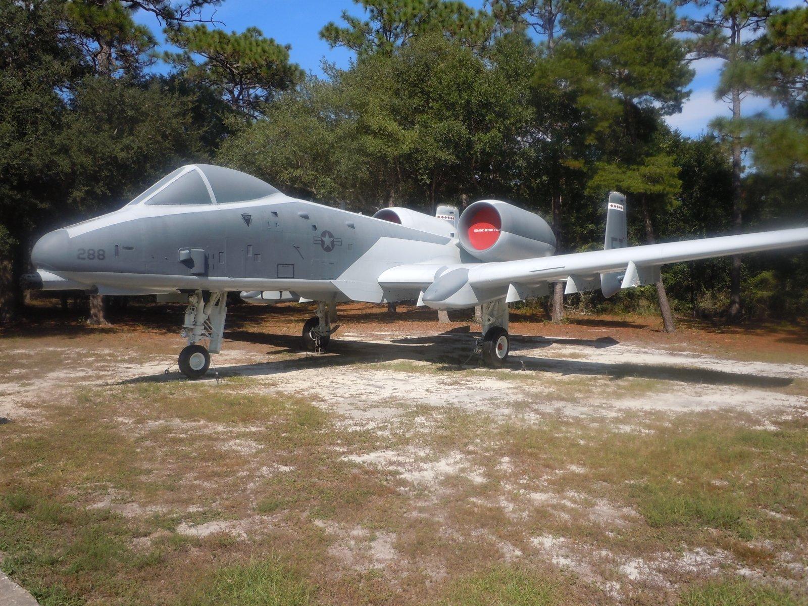 DSCN5808.JPG