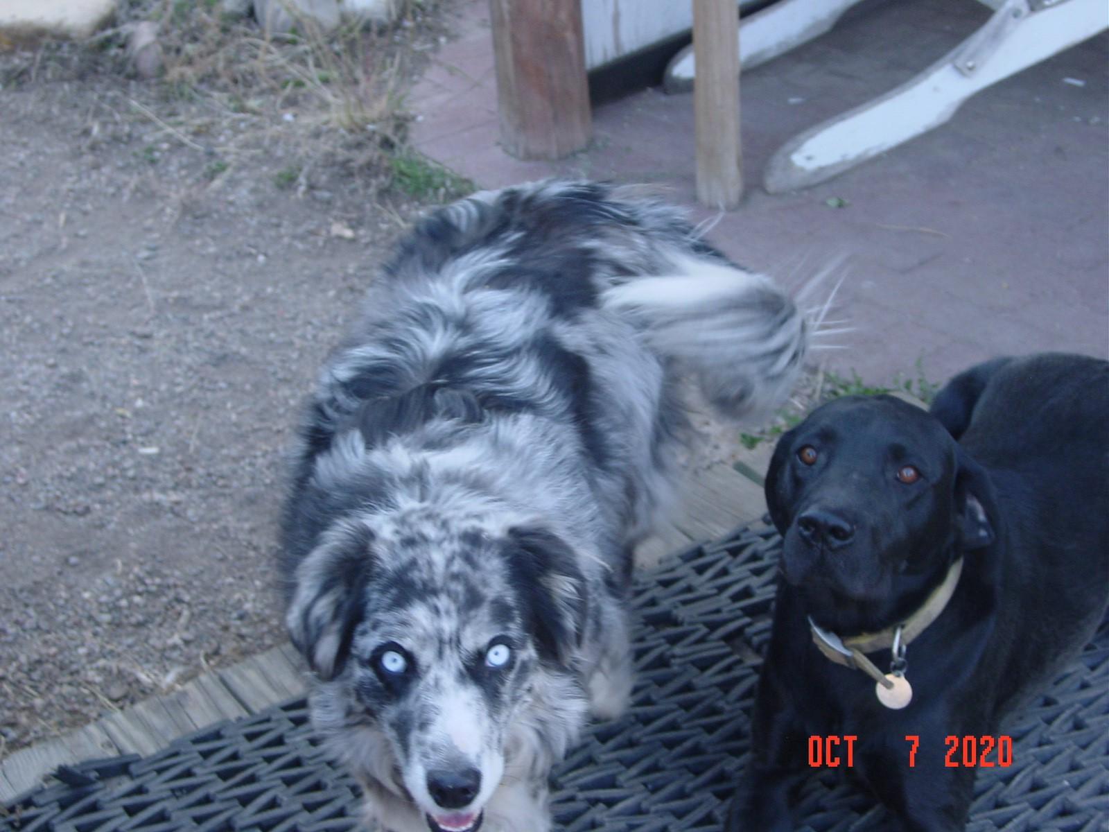 Izzy and Woody.jpg