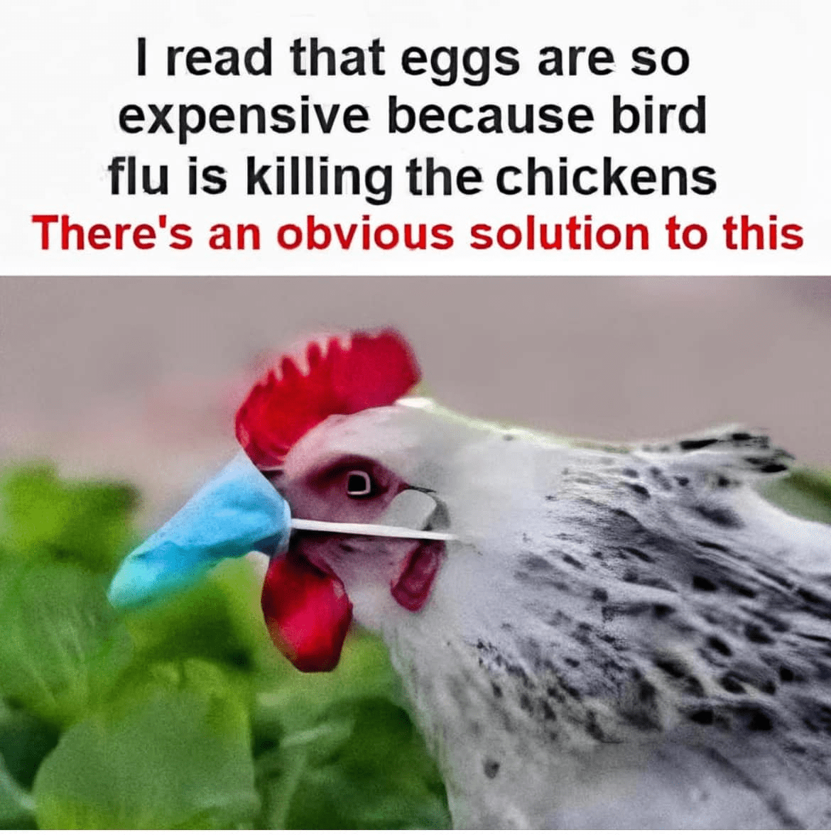 1742092619279.png