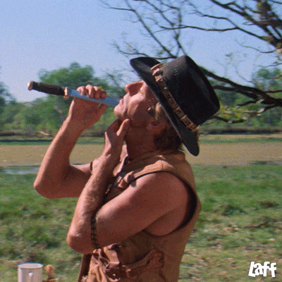 giphy (1).gif
