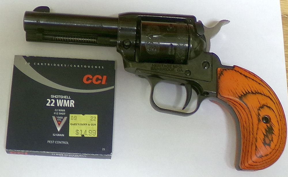 gun ammo.jpg