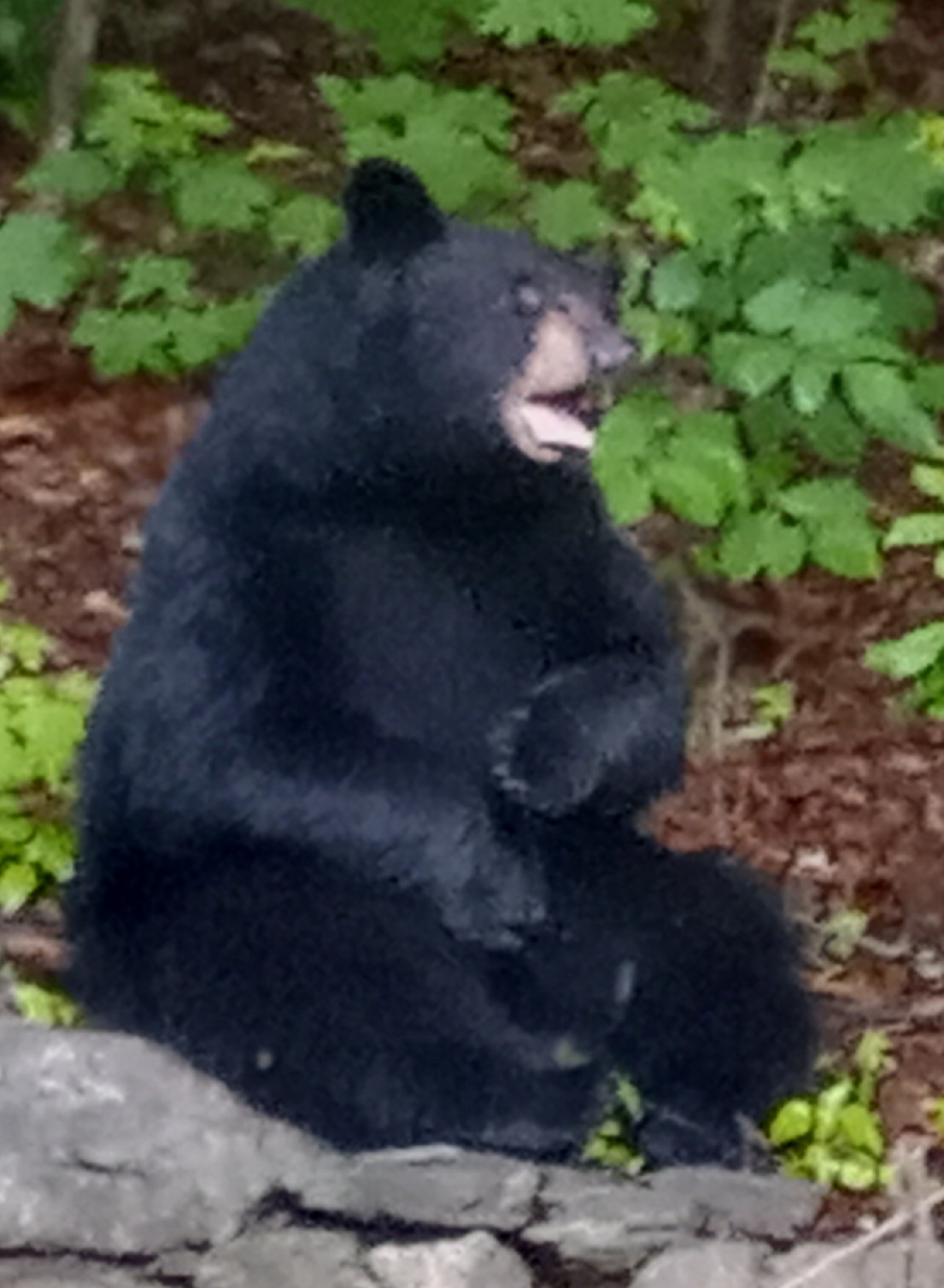 20250522_190246.jpg