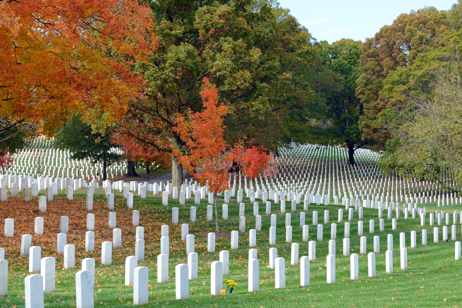 Arlington.jpg