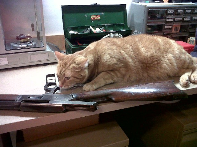 Marlin 1895 CatScan.jpg