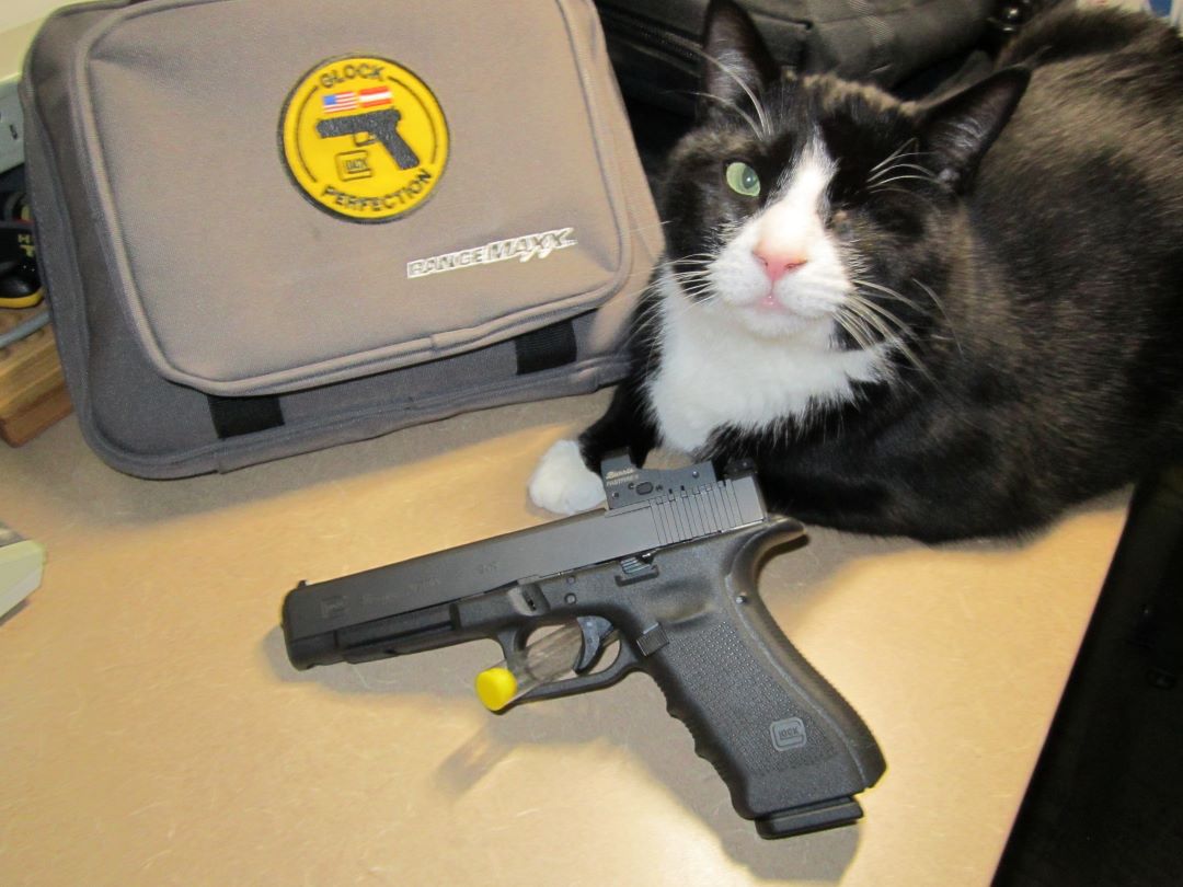 G34 & Bandit.jpg