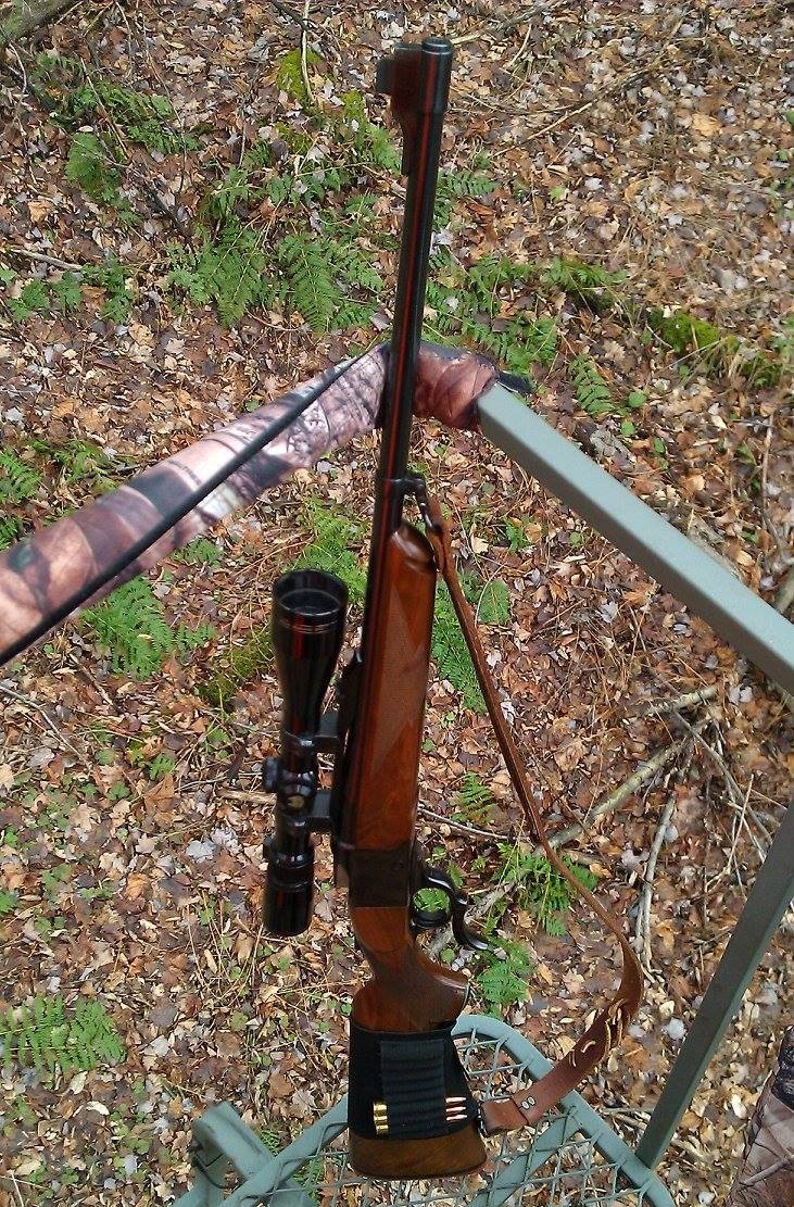 Ruger 1-A Cropped.JPG