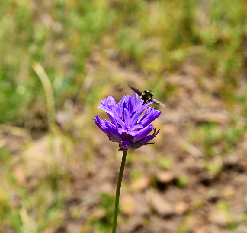 IMG_0842.jpeg