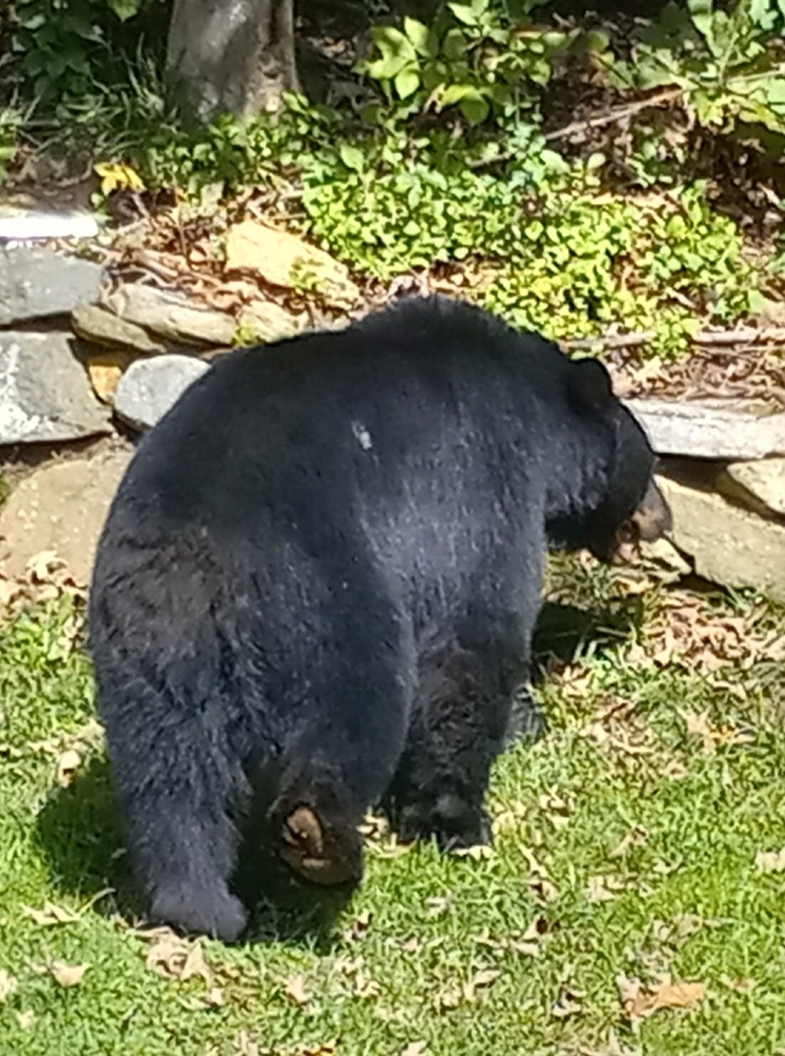 20230912_131222.jpg