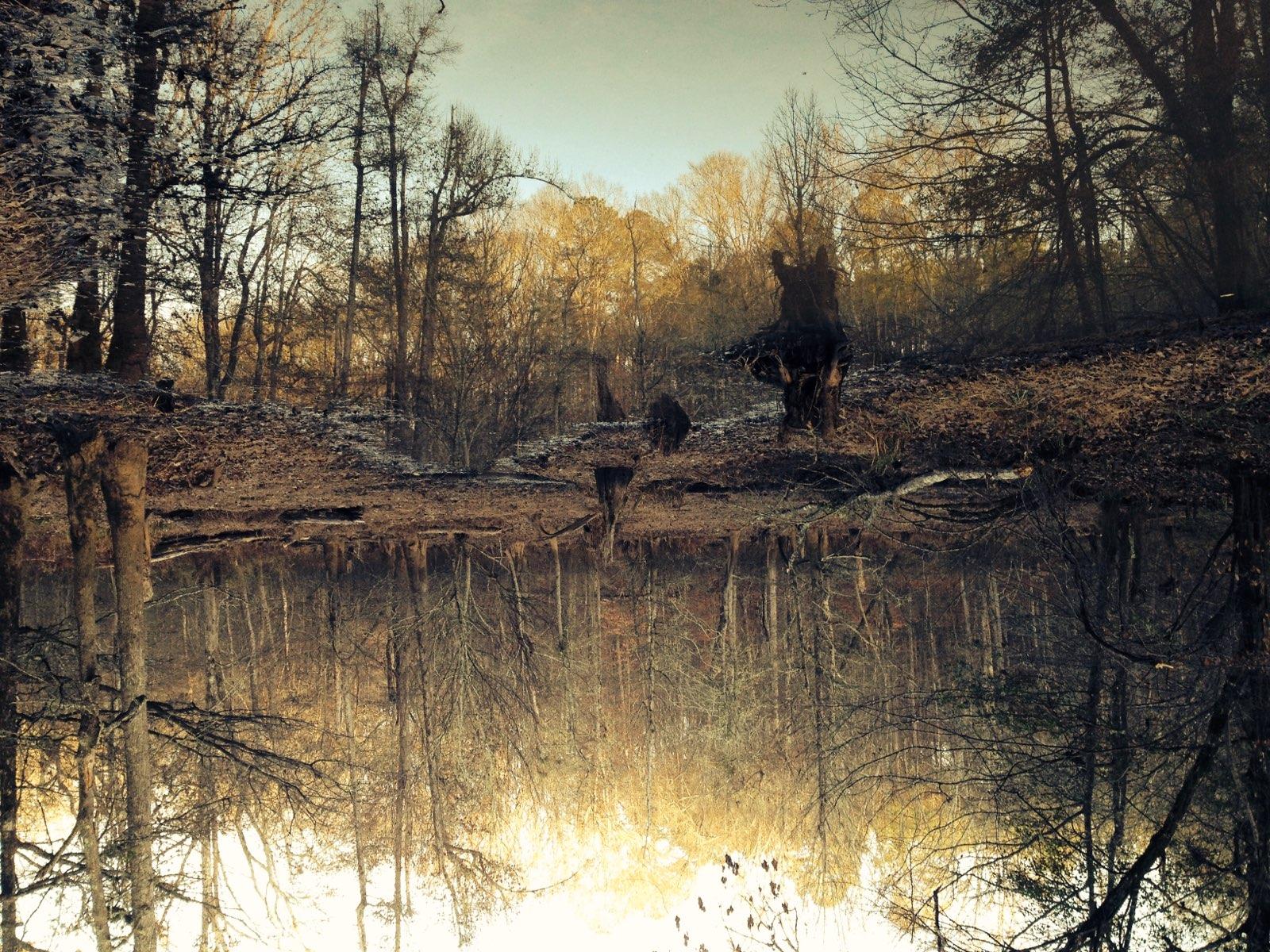 Monster at the pond FullSizeR.jpg