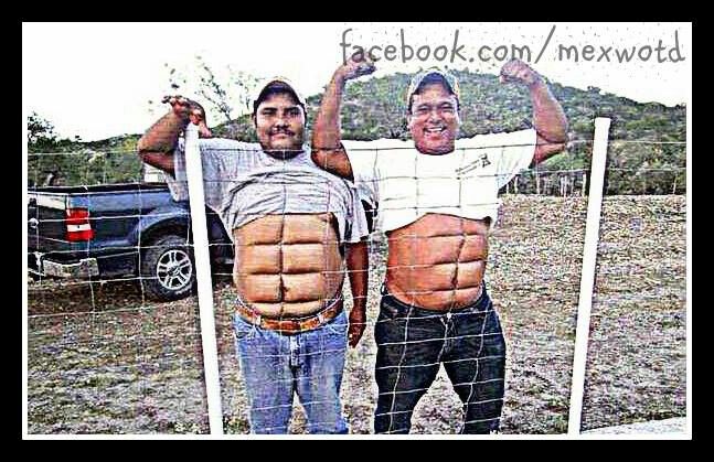 sixpack.jpg