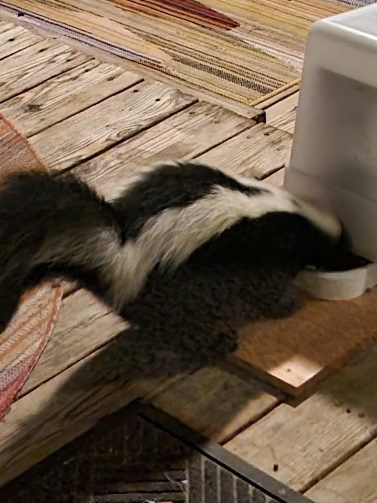 20250907_050713.jpg