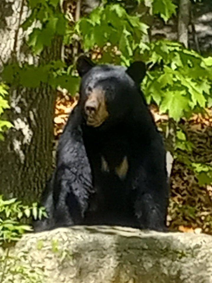 20240508_150021.jpg