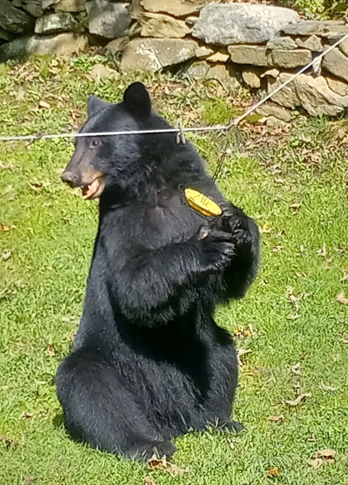 20230912_131214.jpg