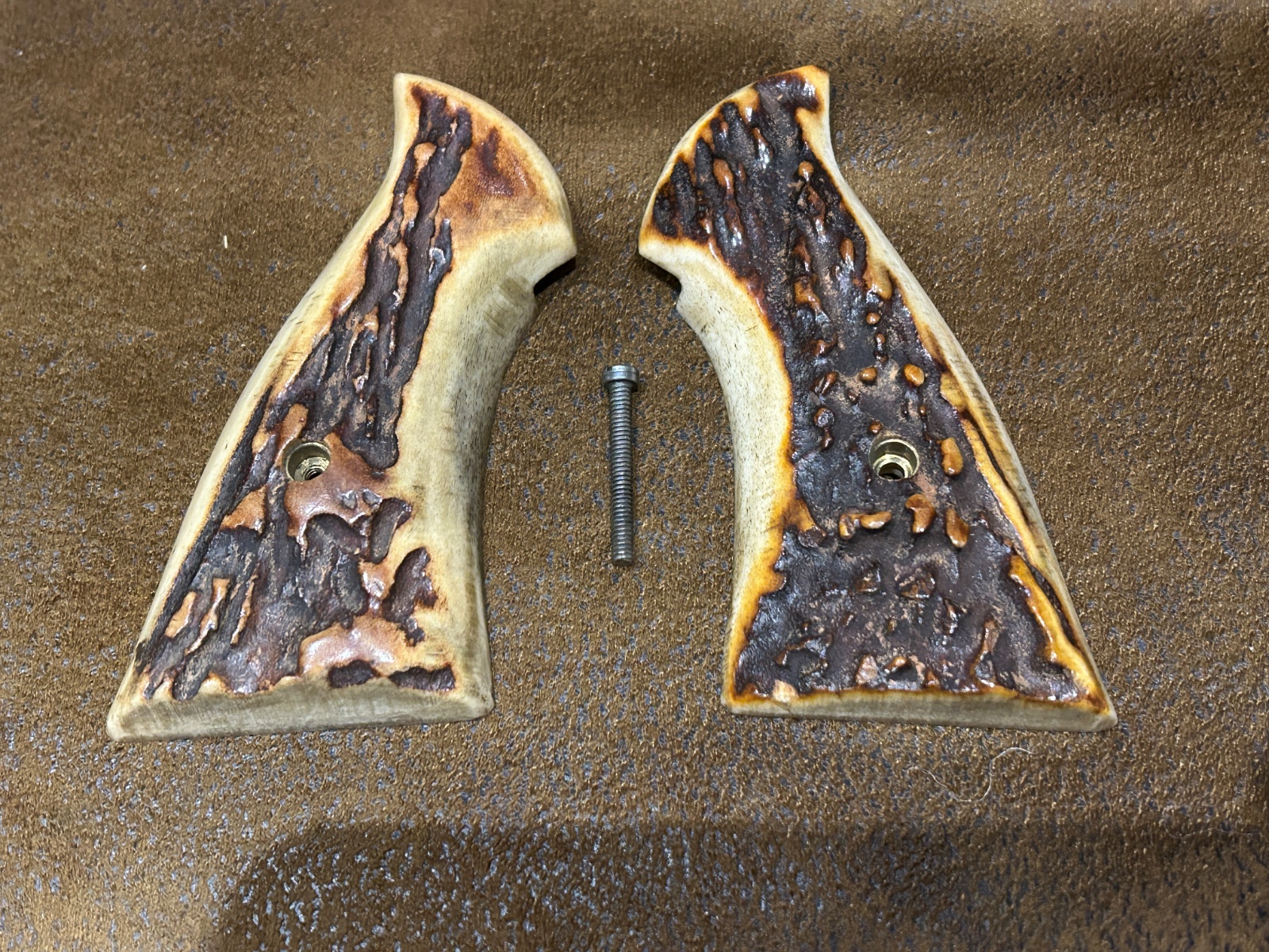 IMG_6384.jpeg