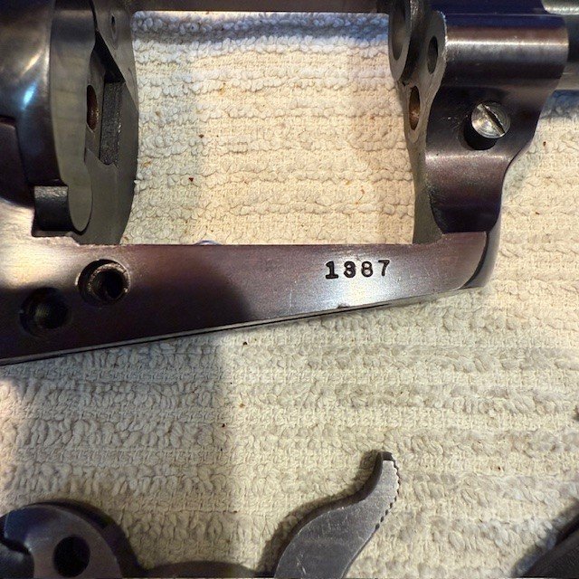 Ruger 2.jpg