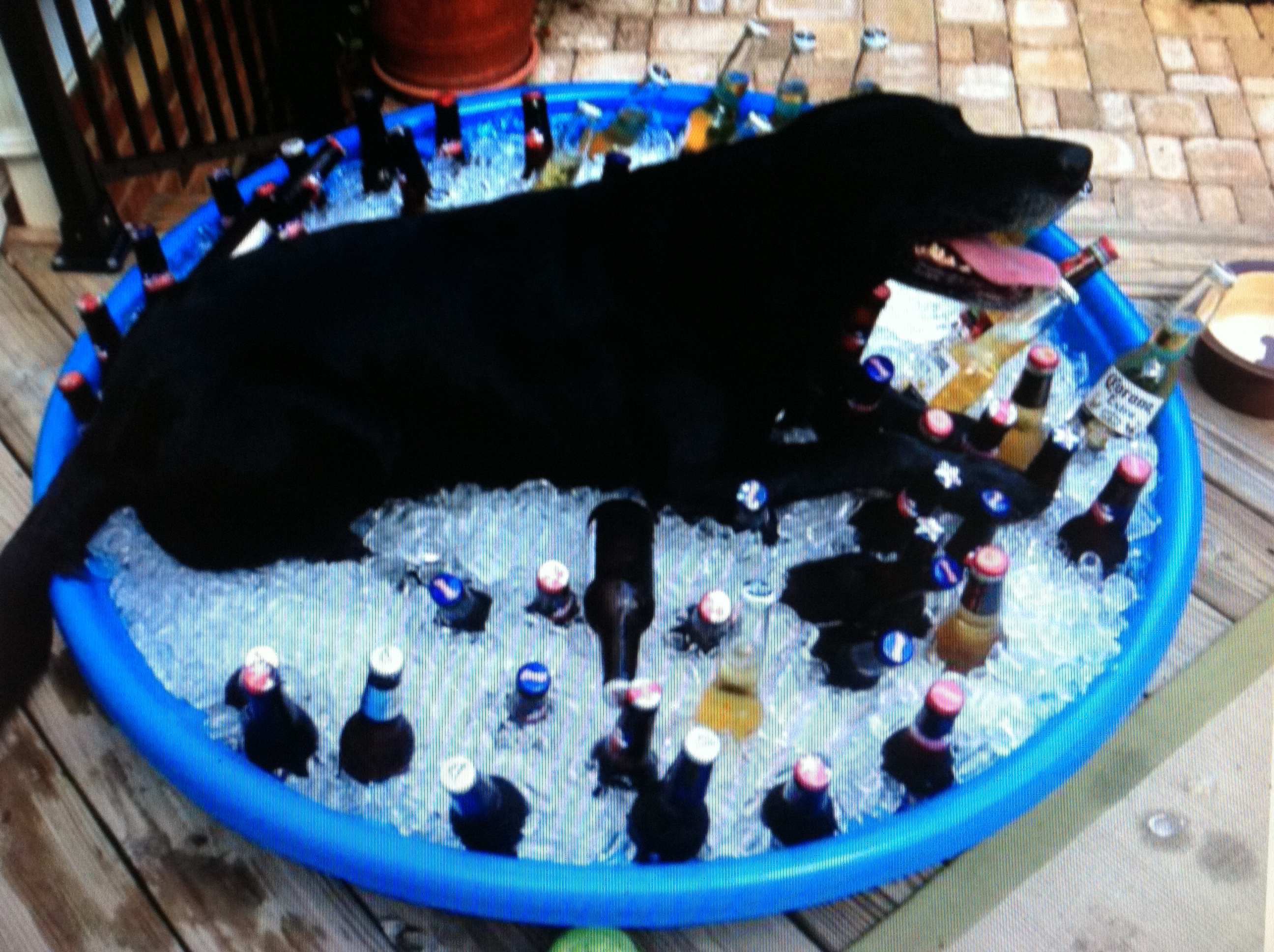 42$$IMG_0286.jpeg