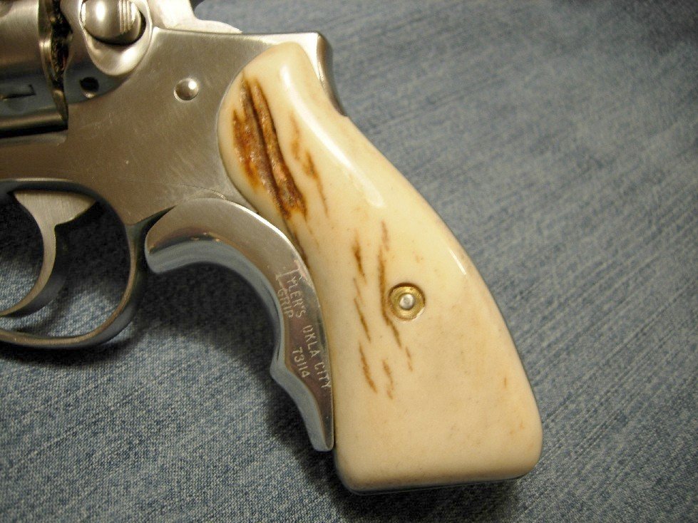 Stag Close up LH.JPG
