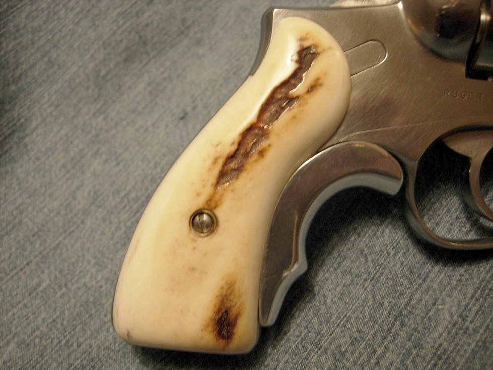 Stag Close up RH.JPG