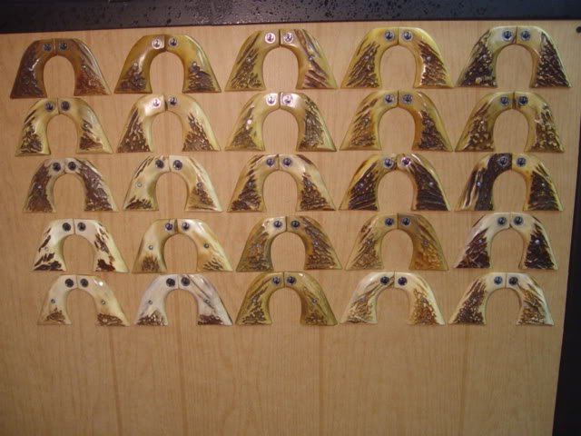DSC03203-1.jpg